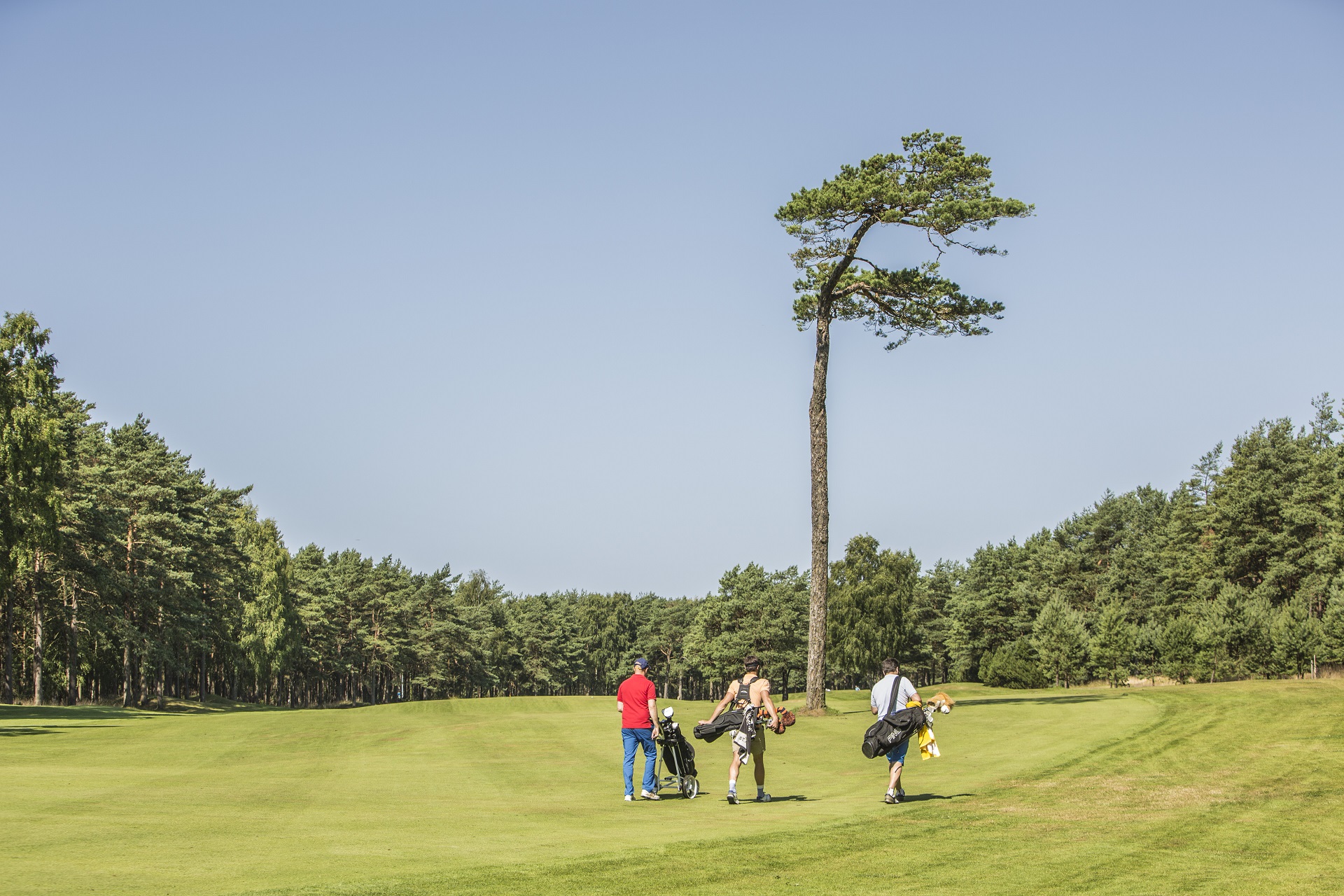 Halmstad Golfklubb
