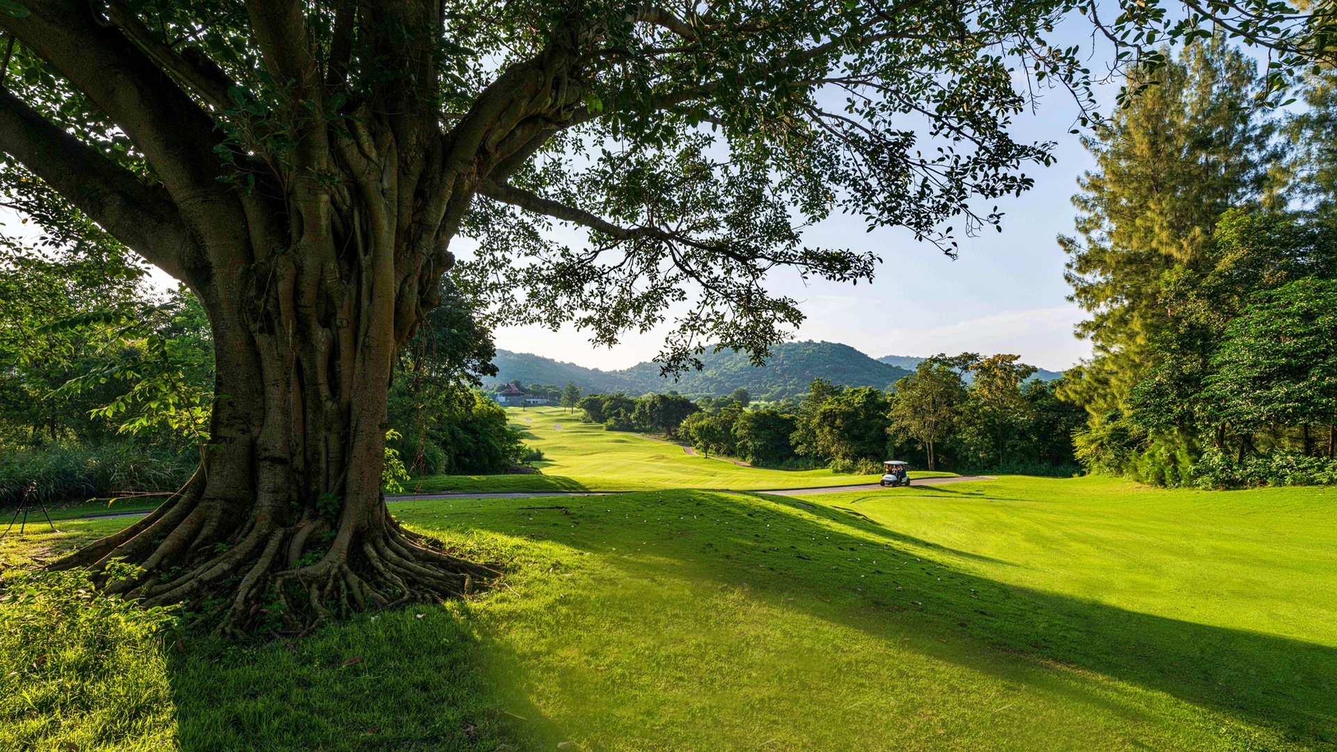 Pineapple Valley Golf Club Hua Hin | Golf i Thailand