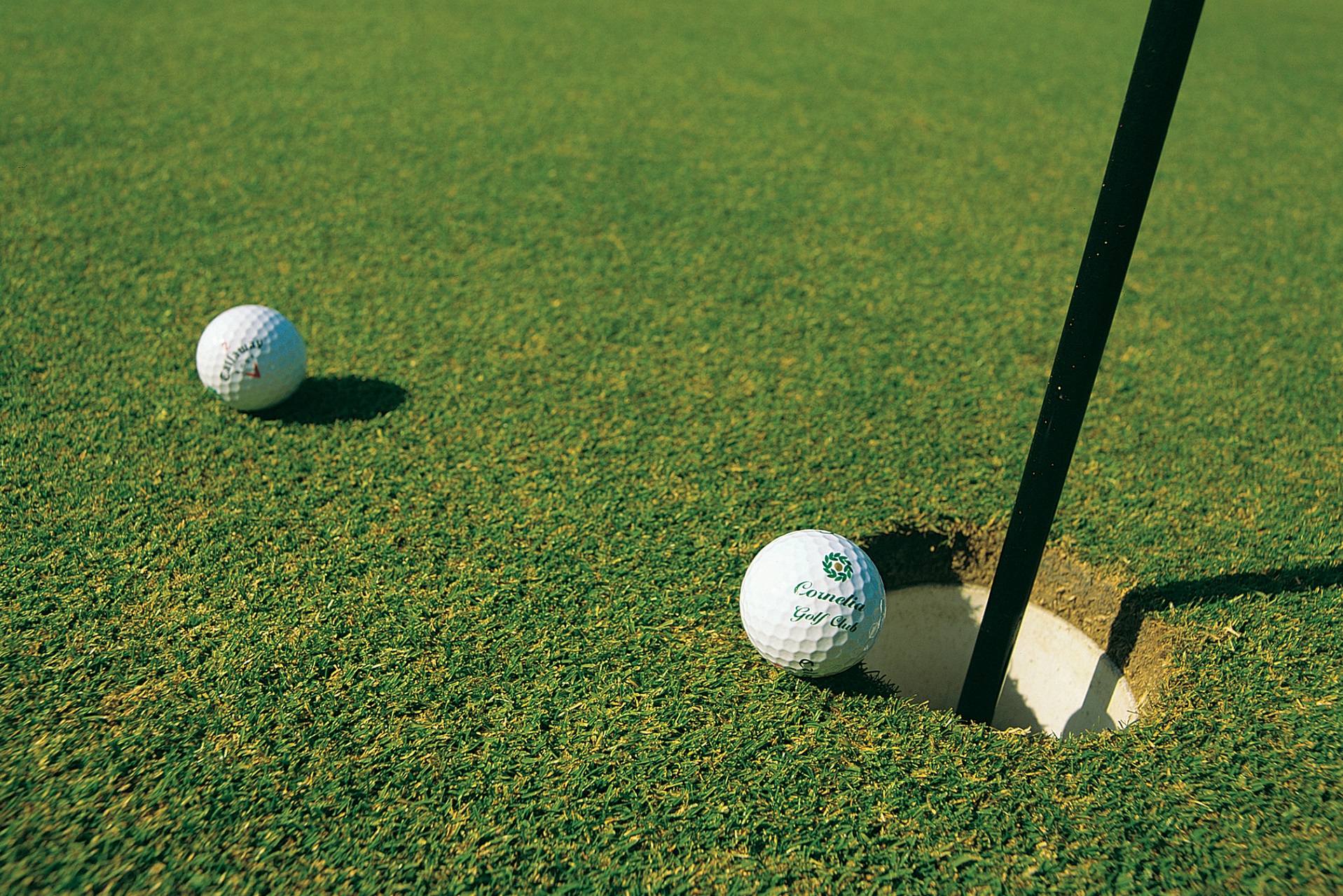 Cornelia Golf Club | Golf i Belek