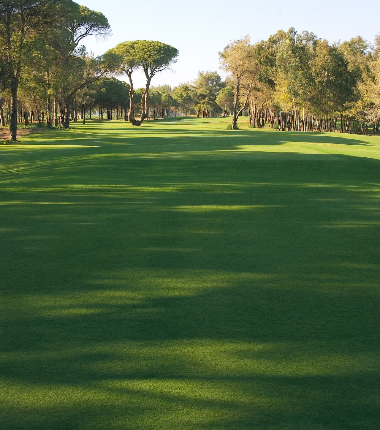 Kaya Palazzo Golf Club | Golf i Belek