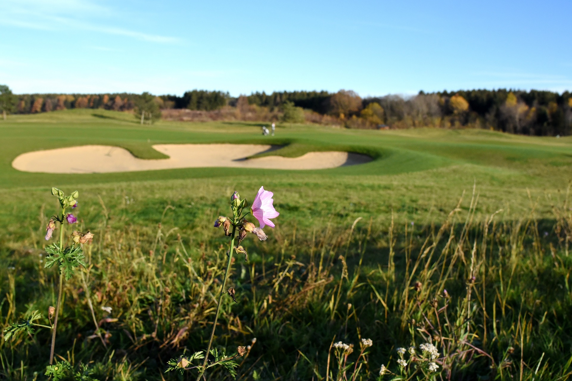 Golf Valley