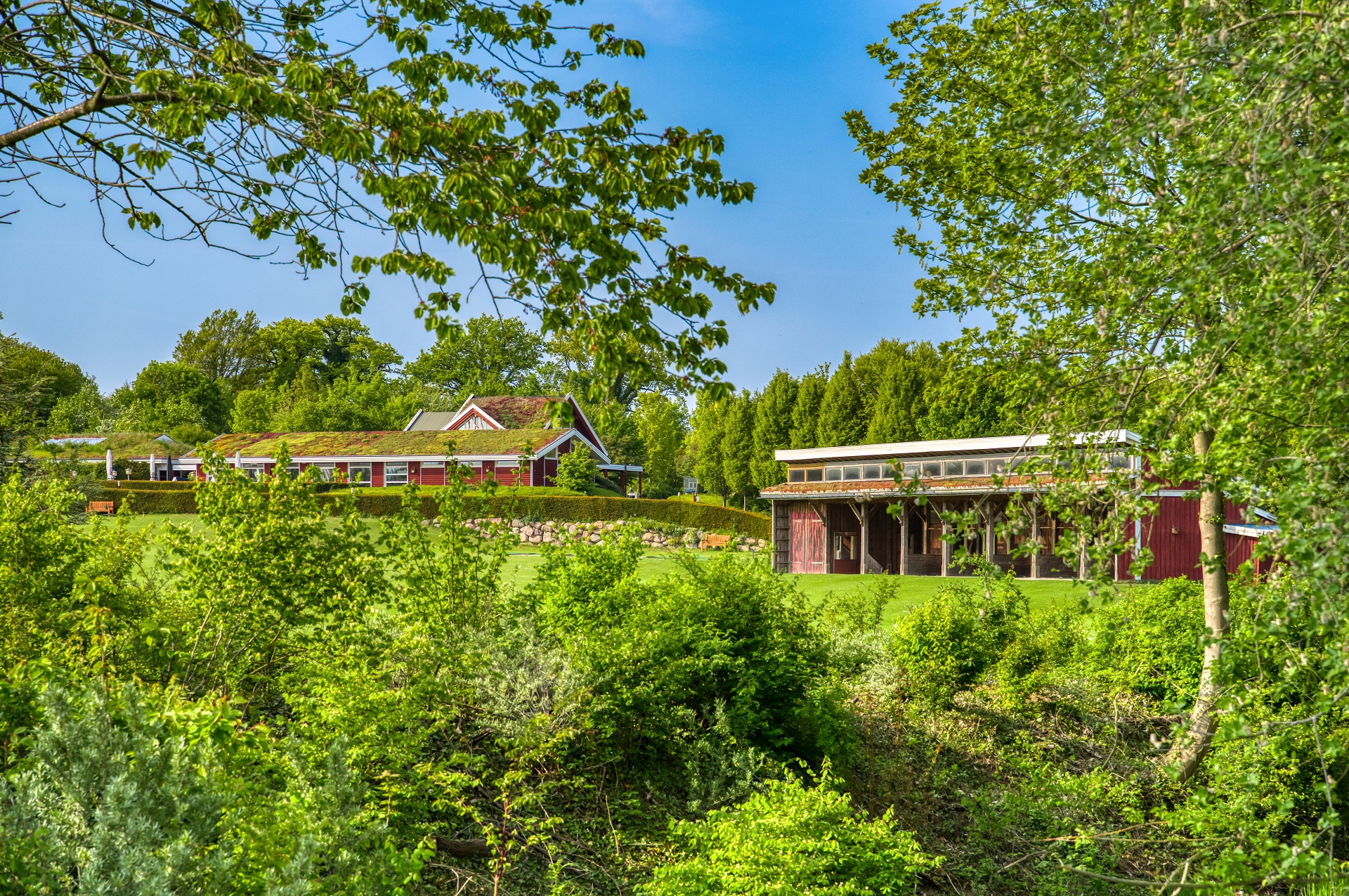 Golfanlage Hohwacht